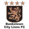 Bankstown City Lions