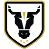 Bulls Academy