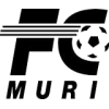 Muri