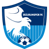 Erzurumspor logo