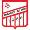 Ayvalikgucu