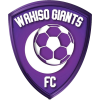 Wakiso Giants