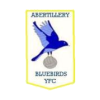 Abertillery Bluebirds