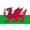 Wales U21