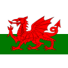 Wales U19