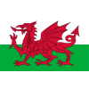 Wales U19 W logo