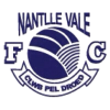 Nantlle Vale FC