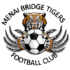 Menai Bridge Tigers