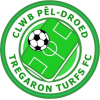 Tregaron Turfs