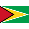 Guyana W logo