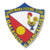 Santa Maria FC