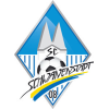 Schwanenstadt