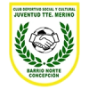 Teniente Merino