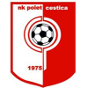 Polet Cestica