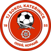 Sokol Katerinice