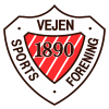 Vejen