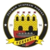 Tervarit