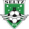 St Etienne Seltz