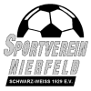 Nierfeld