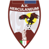 Vesuvio Ercolanese