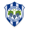 Tochigi City
