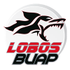 Lobos BUAP