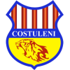 Costuleni