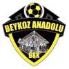 Beykoz Anadolu logo