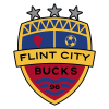 Flint City