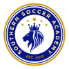 Swarm FC