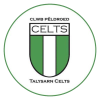 Talysarn Celts