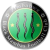 Black Mambas