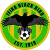 Ifira Blackbird