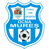 Ocna Mures
