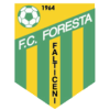 Falticeni