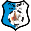 Pandurii
