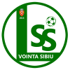 Vointa Sibiu