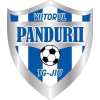 Viitorul Tg. Jiu II