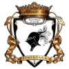 FC Timisoara II