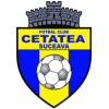 Cetatea Suceava