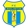 Bolintin Vale