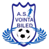 Vointa Biled