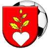 Buzitka