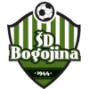 Bogojina