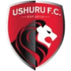 Ushuru