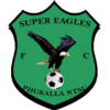 Super Eagles