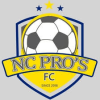 NC Professionals