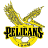 Câu lạc bộ Bóng đá Pelicans