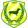 Samambaia