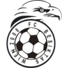 Besiktas Wien